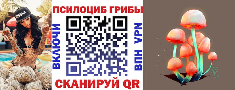 наркотики  Кохма  Псилоцибиновые грибы Magic Shrooms 