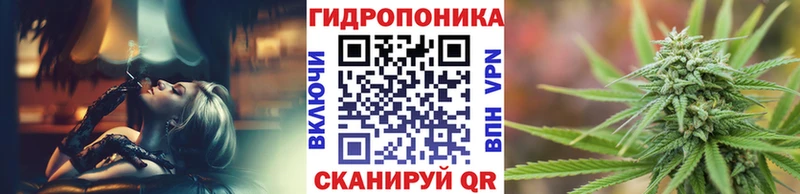 Шишки марихуана Ganja  Кохма 